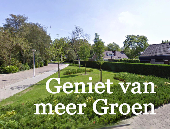 Groen veld gazon grasveld speelveld siergazon leggen Alphen aan de Rijn met kant en klaar gras