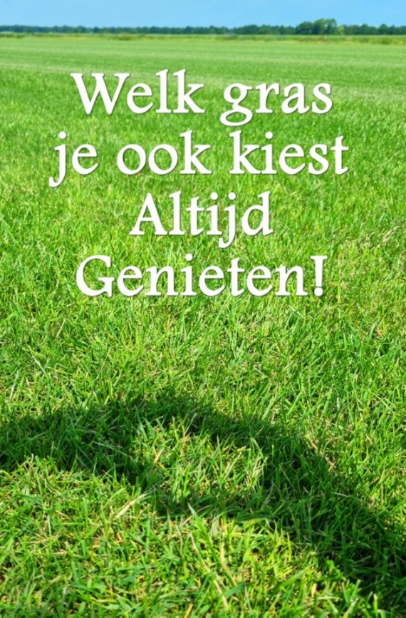 Een graszode soort kiezen voor jouw tuin en gazon in Doetinchem