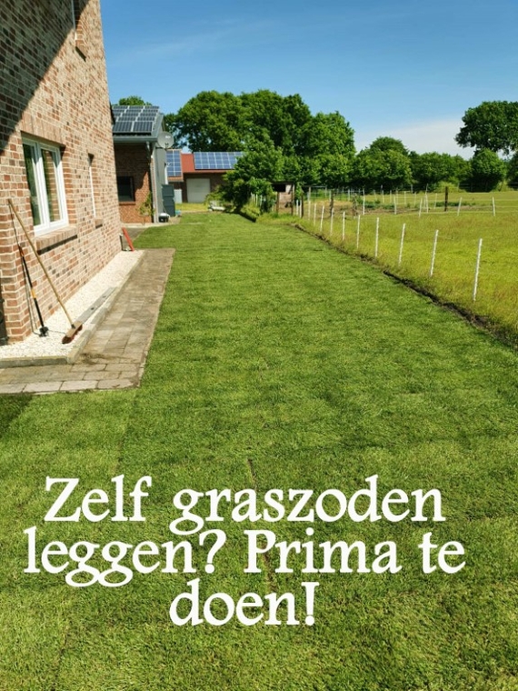 Je tuin een stuk groener? Zelf gazon leggen met graszoden of kant en klaar gras in het Gooi
