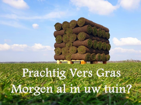 tekenen voor levering graszoden den haag niet nodig