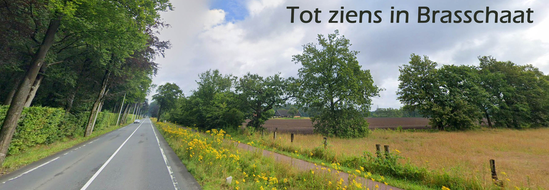 Groene omgeving in de buurt van Brasschaat