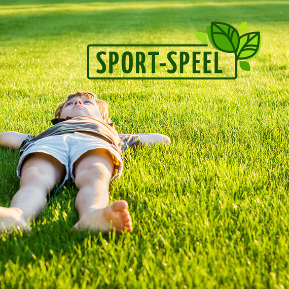 graszoden soorten.jpg