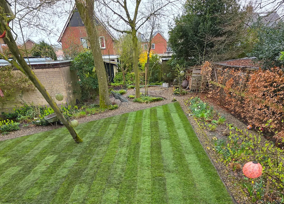 Eindresultaat grasmatten levering Den Ham - rollen kant en klaar gras graszoden - nieuw gezon