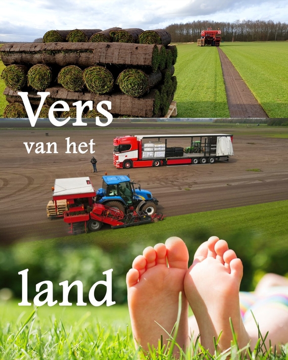 Bezorgkosten graszoden levering den bosch pallet prijs inclusief bezorging of levering