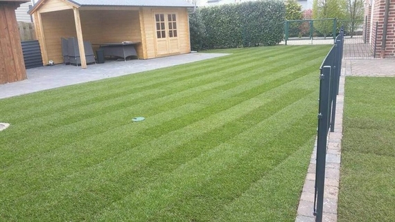 grasmatten bestellen in assen.jpeg