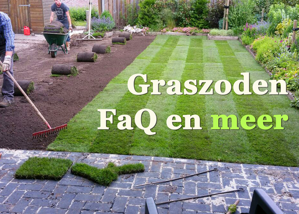 graszoden-leggen-vragen-over-gazon-aanleggen-met-graszoden-veelgestelde.jpg