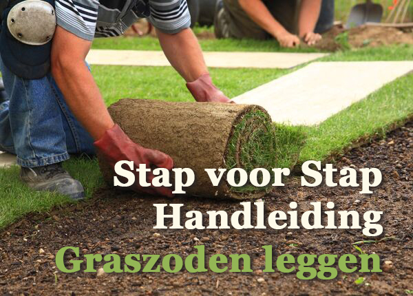 Stap voor stap handleiding graszoden leggen.jpg