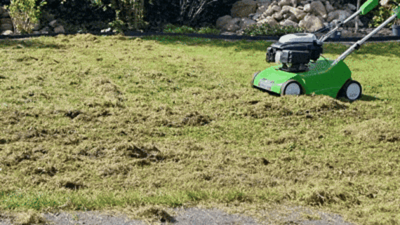 Gazon verticuteren - mos uit je gras verwijderen met een machine verticuteermachine