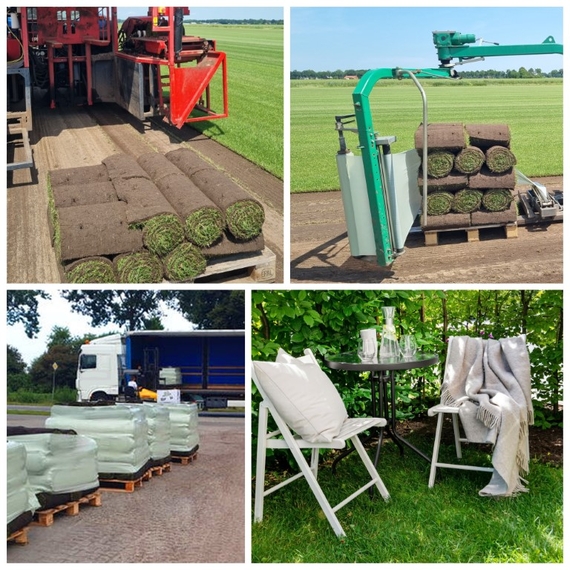 Kosten graszoden bezorging buurt Alphen prijs levering gazon graszoden pallet kant en klaar gras op rol