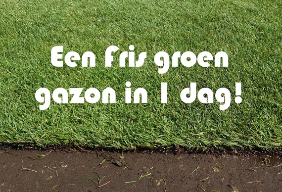 Tips voor het bestellen van graszoden of grasmatten online voordelig uit zijn