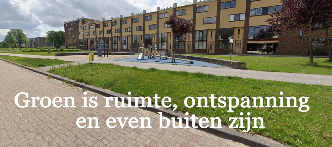 Hoe meer groene ruimte hoe leefbaarder een woonomgeving - groen doe je met gras en grasvelden - kant en klaar gras Alphen