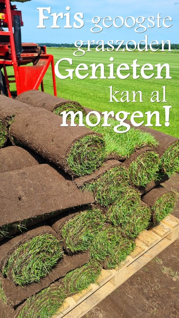 Bekijk de beste periode of temperatuur om met graszoden een grasmat aan te leggen