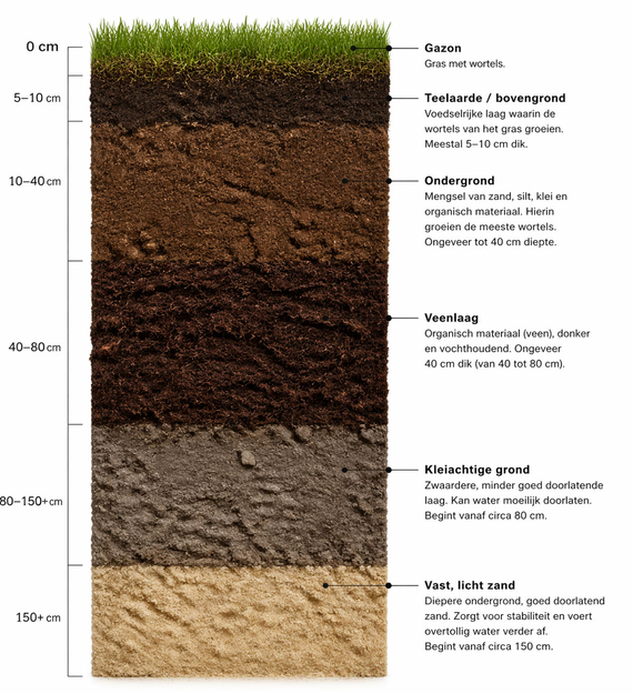 mos op veengrond nat ingeklonken veen oorzaak mos gazon grasveld grondlagen